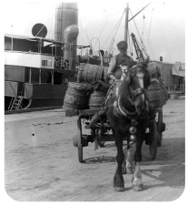 A small but important load arrives at the Harbour by horse and cart