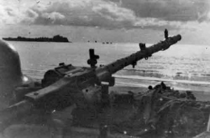 A field gun on the coast at First Tower