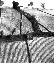 Cotils covered in polythene in 1992