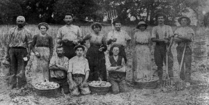 Breton farmworkers