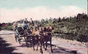An excursion car in the late 19tha century