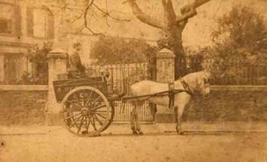 In early days the business used its own horse and cart for deliveries