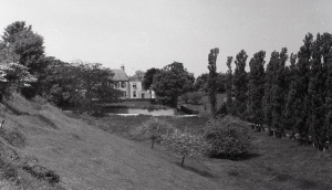 Vale Farm meadow 1952