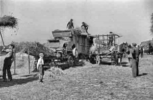 Threshing in 1936