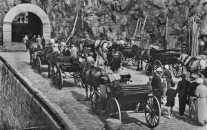 Carriages waiting on the quayside for arriving passengers