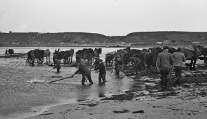 St Ouen's Bay 1938