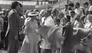 Picture Jersey Evening Post