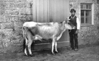 Mr Le Brocq's Windsor Belle at St Mary