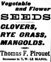 1901 Evening Post advert