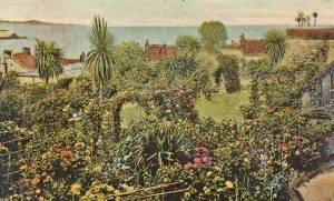 The rose garden at the hotel