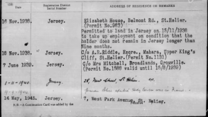 Hedwig Bercu's employment history