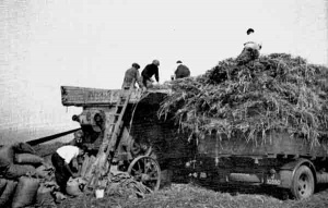 Threshing at Les Platons in 1948