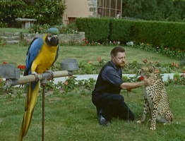 Gerald Durrell in 1965