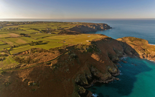 who took these four pictures