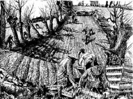 Potato planting at Rozel