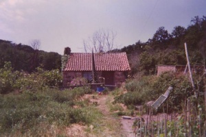 Before the bakehouse was damaged in the 1987 storm