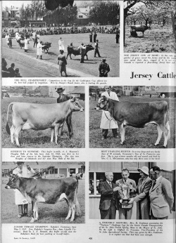 More photographs of the 1949 Island Show ...