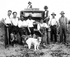 John de la Haye's farm at West Lynn, St Ouen, in the 1930s