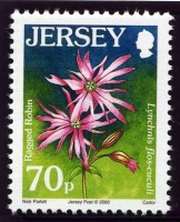 Wildflower definitives