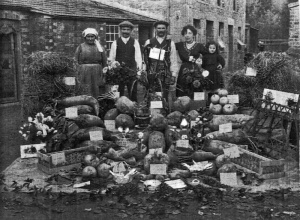 A fine display of mangolds and other farm produce