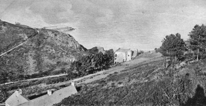 Very few trees in this early picture