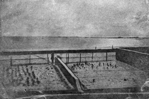 The garden at Marine Terrace in 1853