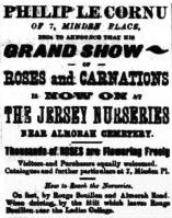 1899 Evening Post advert