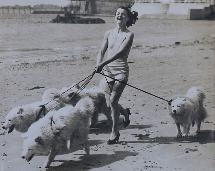 File:H25JSCAlbum1930s80Dogs.png
