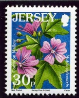 Wildflower definitives