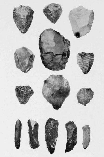 File:F19CotteALaChevreFlints.jpg