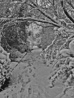 Waterfront path in 2013