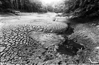 One result of the heatwave and accompanying drought was empty reservoirs