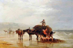 Vraicing at Ouaisne, 1848; Edward Duncan