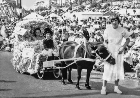 1952:'Miss Junior Battle of Flowers' Gillian Le Marquand in the back of the coach, driver Jill Le Caudy, and Mary Le Marquand was leading the pony, little Shirley.