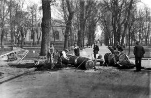 Cutting up fallen trees in the Parade after a storm