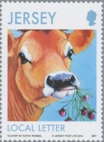 Jersey cow