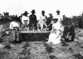 Pallots picking strawberries