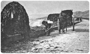 Building a giant stack at La Pulente in 1914