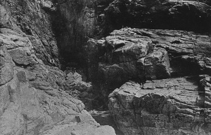 La Rosiere - a picture in the Amsterdam Rijksmuseum collection