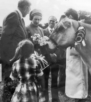 An unscheduled bouquet presented to the Queen by Tara Hill