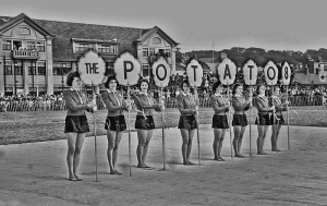 A display during a 1939 cattle show - picture Evening Post