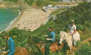Horses on the footpath above Greve de Lecq