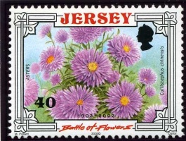 Battle of Flowers anniversary