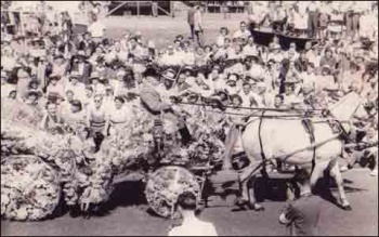 The 1952 Battle of Flowers