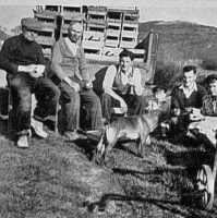 Farmworkers at St Brelade in the 1950s