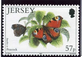 Butterflies and moths