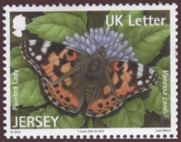 Butterflies and moths