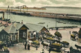 Ready for export in 1903