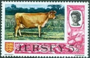 Decimal definitive issue