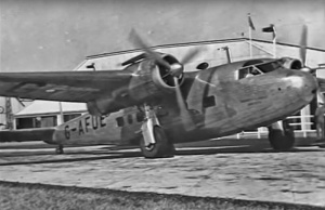 DH Flamingo on the apron